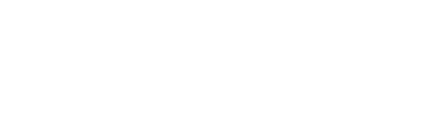 soluzionez